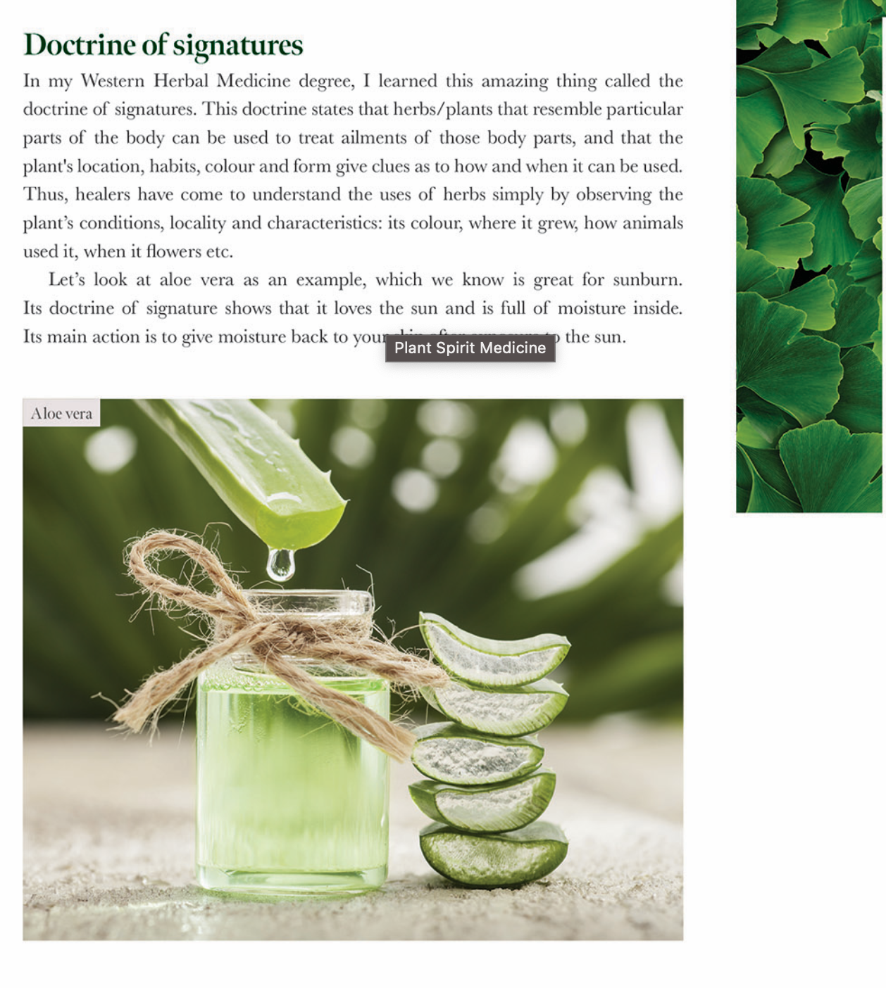 PLANT SPIRIT MEDICINE