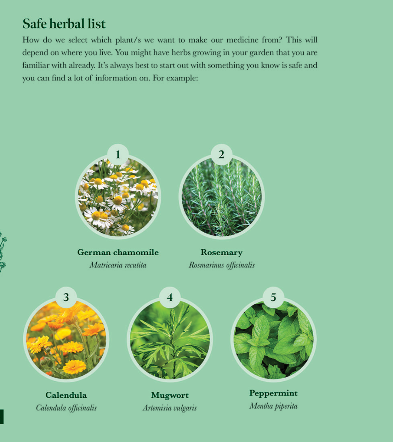 PLANT SPIRIT MEDICINE