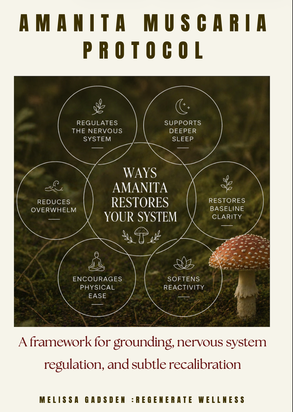 AMANITA MUSCARIA Digital protocol