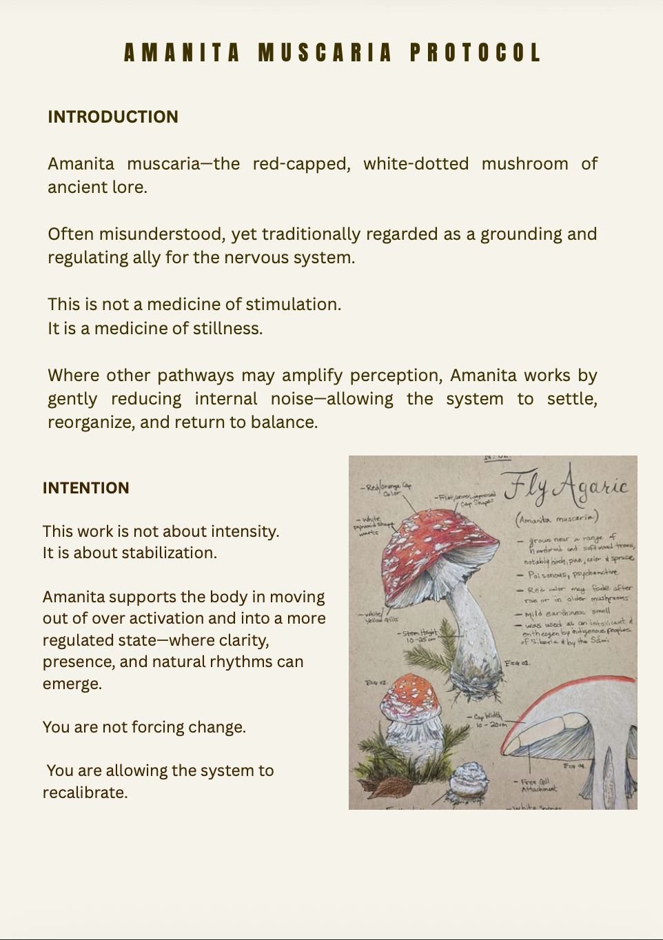 AMANITA MUSCARIA Digital protocol
